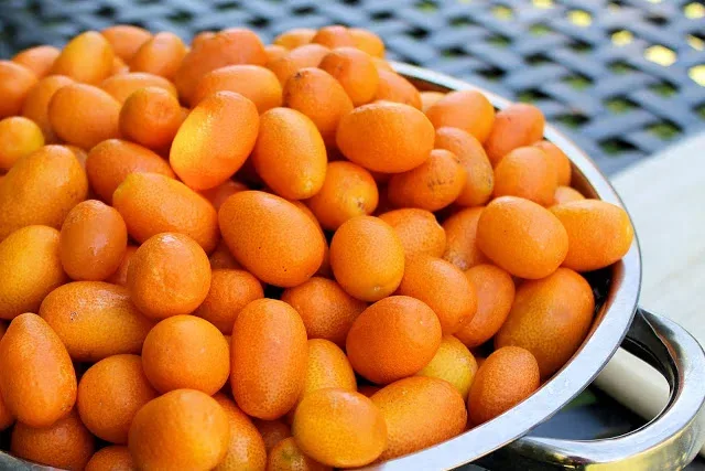 Mermelada de kumquats - SAVOIR FAIRE by enrilemoine 3-img_0591