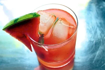 Mojito de patilla (sandía) - SAVOIR FAIRE by enrilemoine