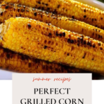 pefect grilled corn on the cob
