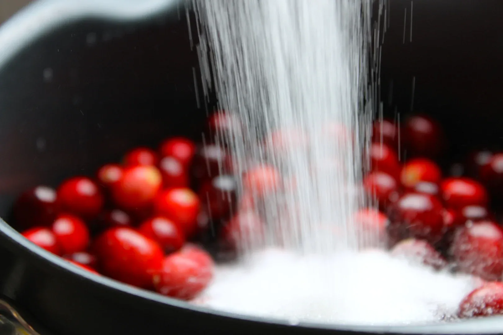Salsa de arándanos con piña - SAVOIR FAIRE by enrilemoine