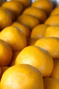 Masa para hallacas - SAVOIR FAIRE by enrilemoine