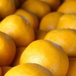 Masa para hallacas - SAVOIR FAIRE by enrilemoine
