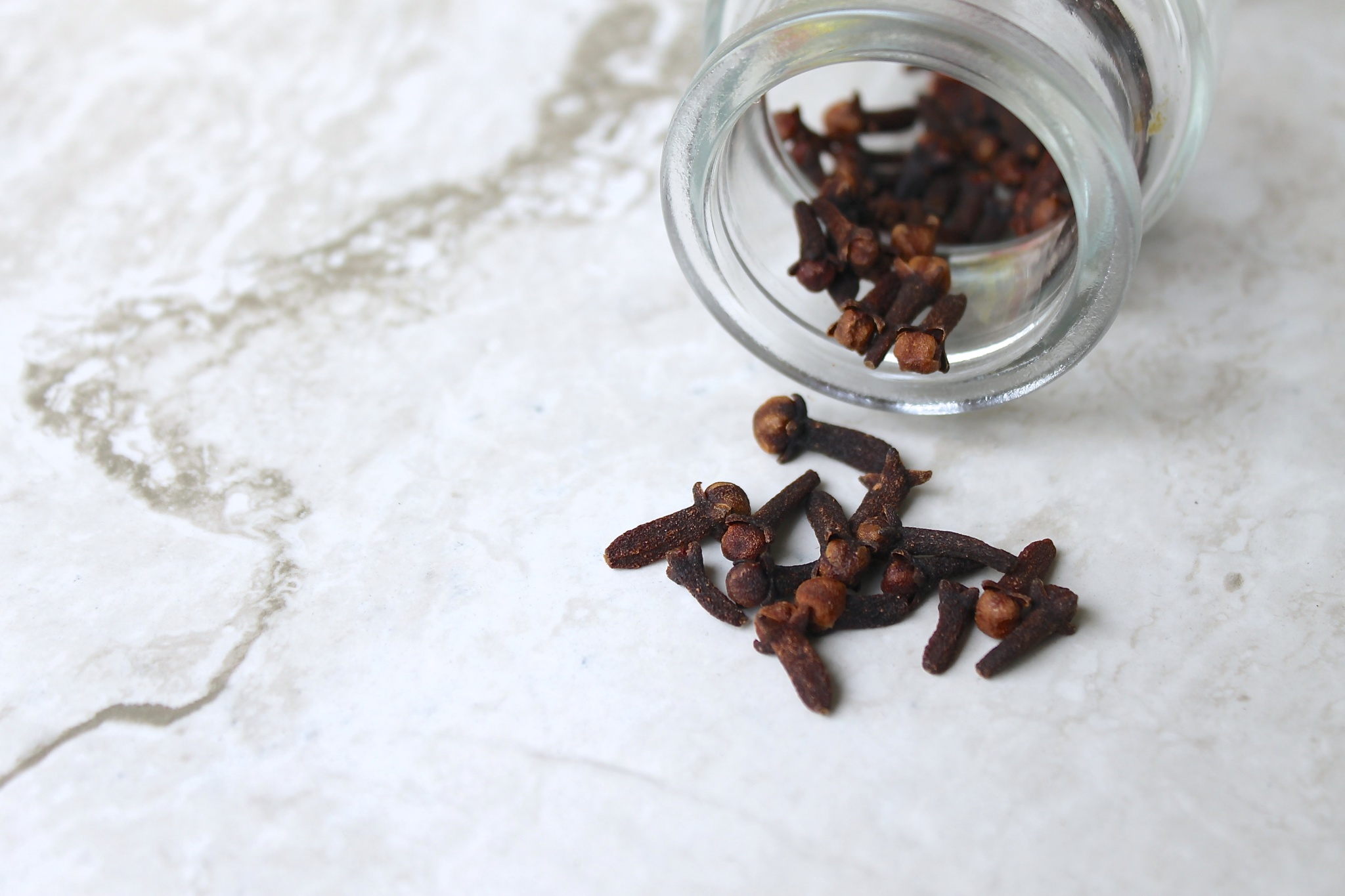 cloves by enrilemoine