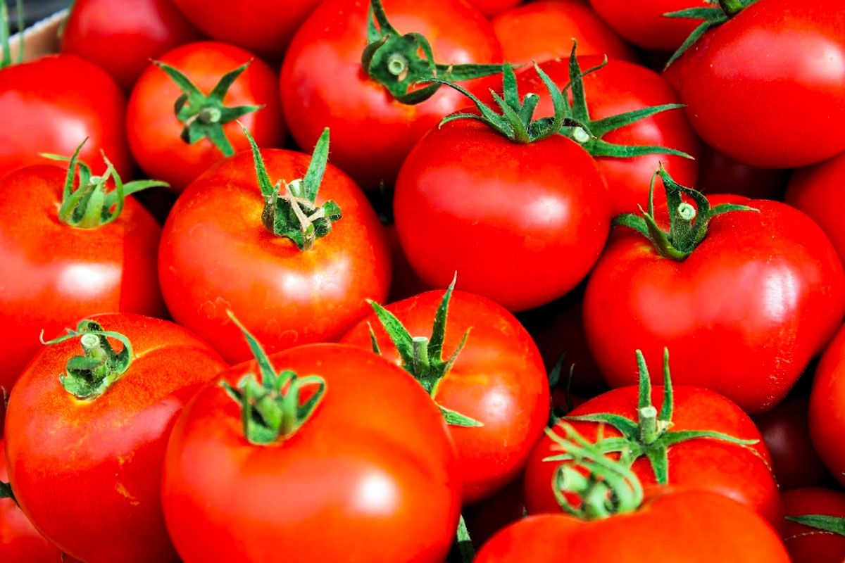 Piled red tomatoes, by enrilemoine.