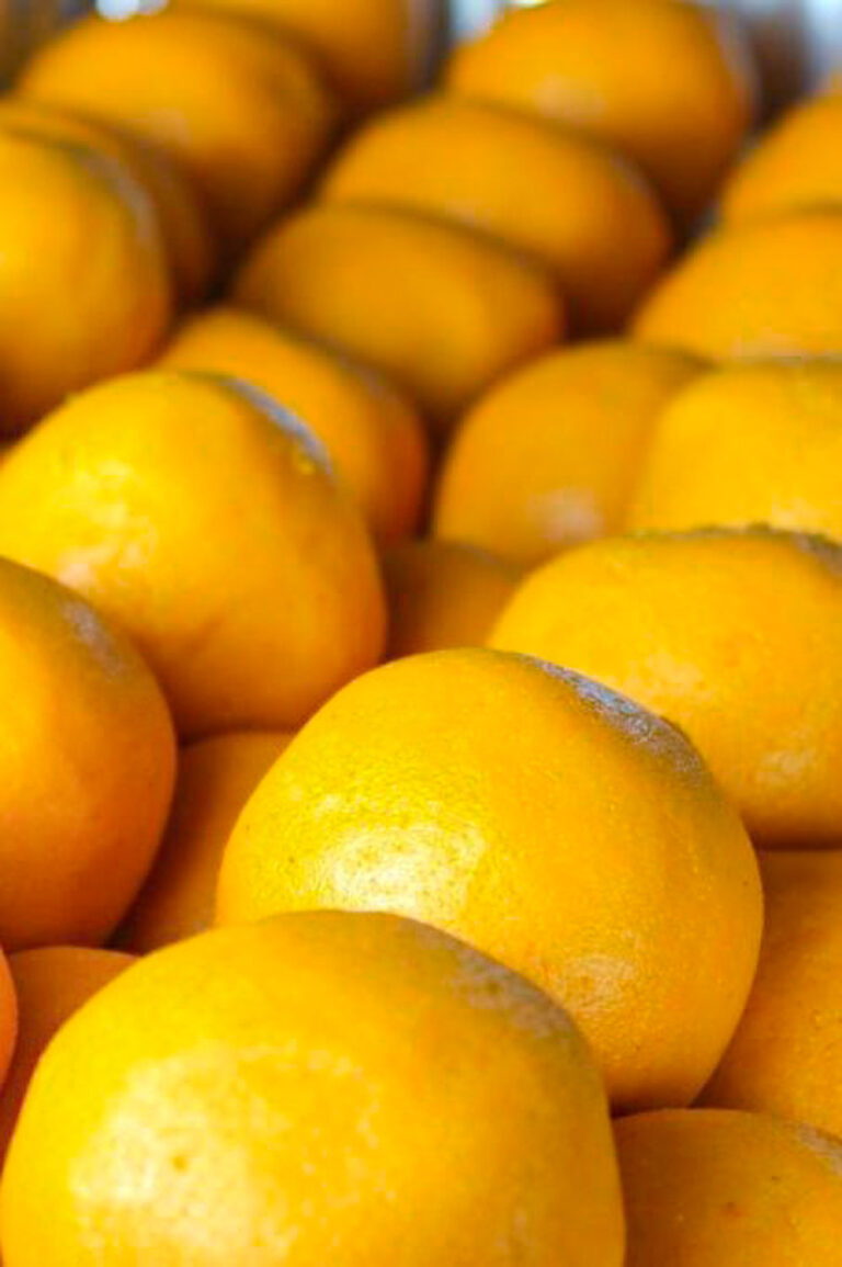 Hay un montón de naranjas sobre una mesa.