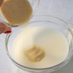 A person pouring powder gelatin into a bowl of milk.
