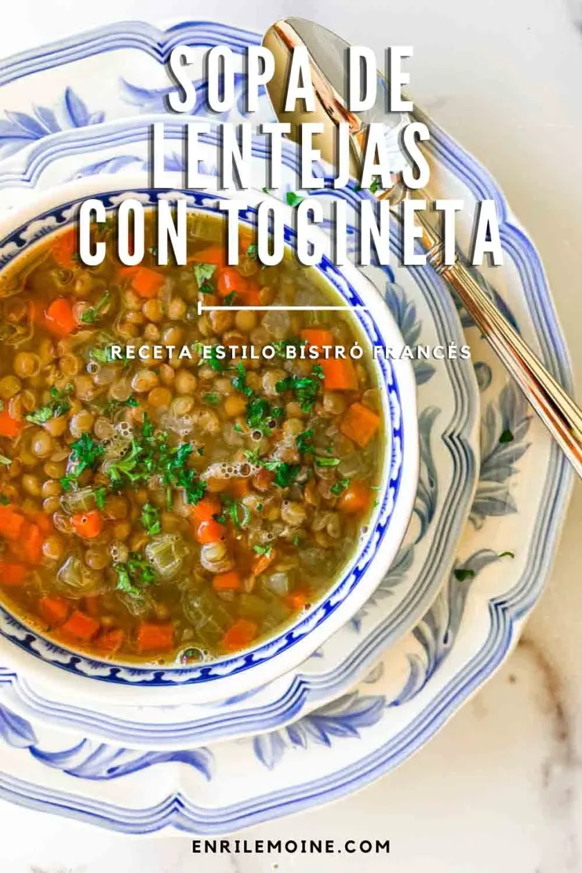 Vista superior de un cuenco de sopa de lentejas con tocineta y verduras cortadas en dados y bacon, adornado con perejil, en un plato estampado.