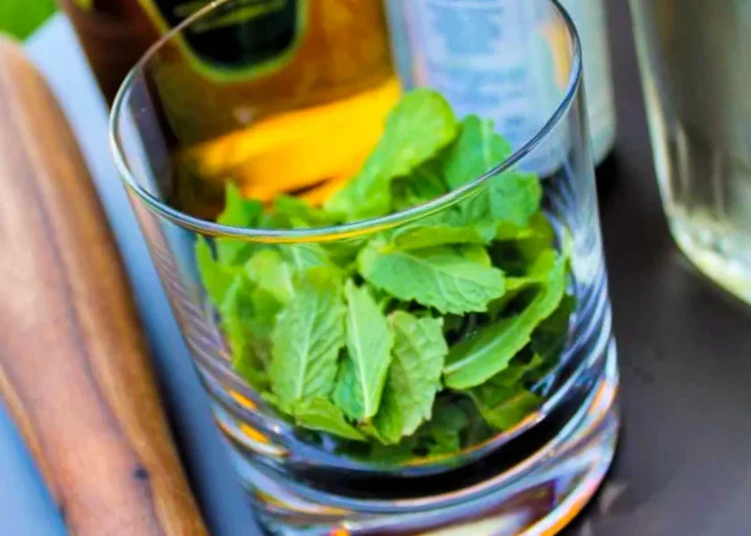 spearmint leaves in a glass to make mint julep