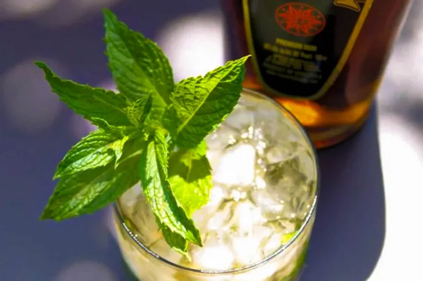 close up of a rum mint julep