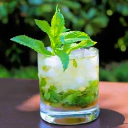 Un vaso con julepe de menta con Ron de Venezuela, decorado con una ramita de yerbabuena