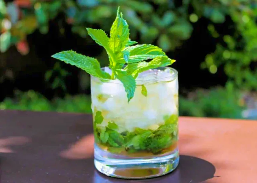 aged rum min julep