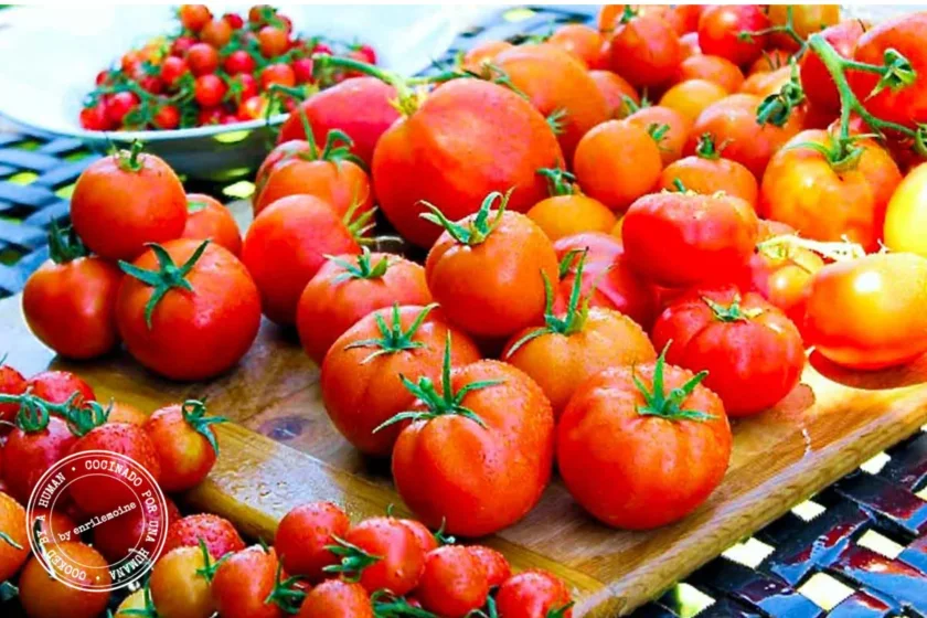 Una variedad de tomates maduros rojos y naranjas, tanto grandes como pequeños, están dispuestos sobre una tabla de madera y una mesa al aire libre, bajo la luz brillante del sol.