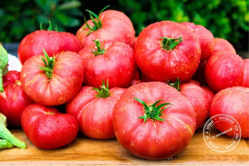 Un montón de tomates rojos frescos de variedades tradicionales, con gotas de agua, descansa sobre una superficie de madera, con hojas verdes visibles al fondo.
